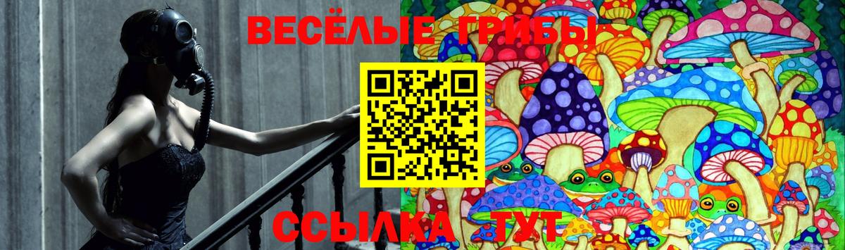 Галлюциногенные грибы Cubensis Торжок