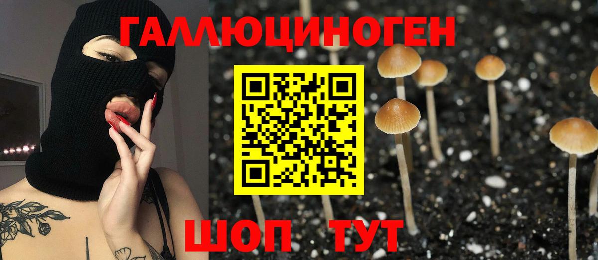 Галлюциногенные грибы Psilocybine cubensis  Псилоцибиновые грибы Psilocybine cubensis  Вход с VPN  Торжок 